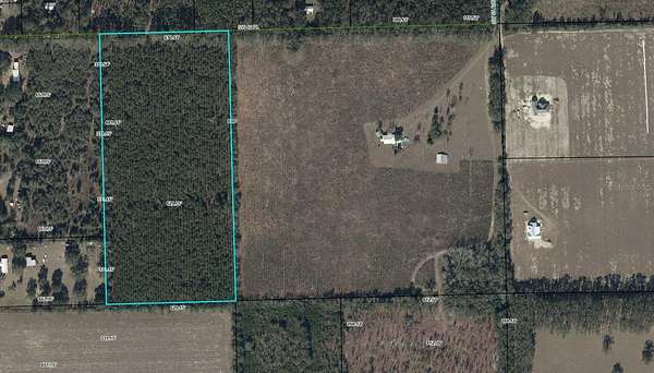 20 Acres of Agricultural Land for Sale in Trenton, Florida