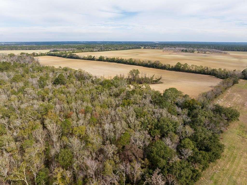 125 Acres of Land for Sale in Quitman, Georgia