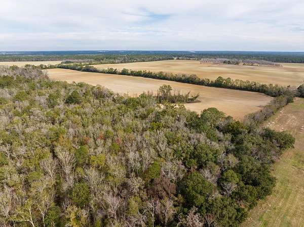 125 Acres of Land for Sale in Quitman, Georgia