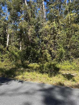 4.87 Acres of Land for Sale in Old Town, Florida