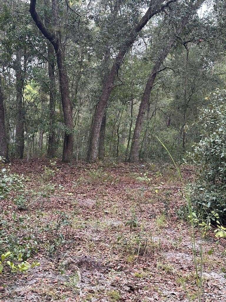 1 Acre of Land for Sale in Hawthorne, Florida