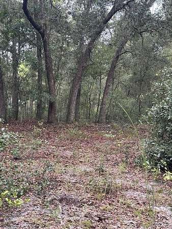 1 Acre of Land for Sale in Hawthorne, Florida