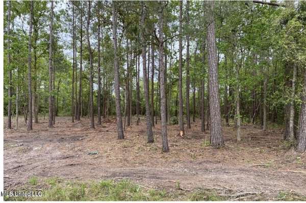 0.3 Acres of Residential Land for Sale in Pass Christian, Mississippi