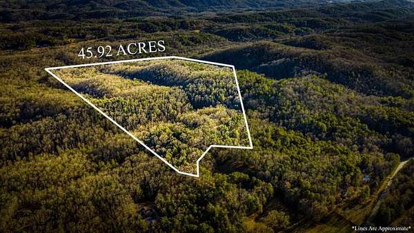 46 Acres of Recreational Land with Home for Sale in Mineral Bluff, Georgia