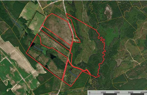 370 Acres of Recreational Land & Farm for Sale in Little Rock, South Carolina
