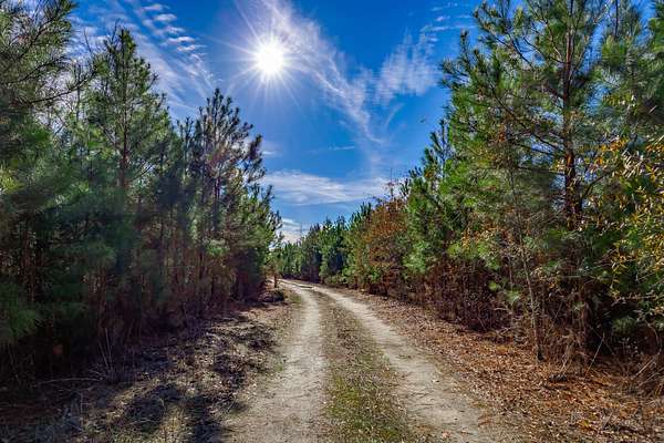 154 Acres of Land for Sale in Little Rock, South Carolina