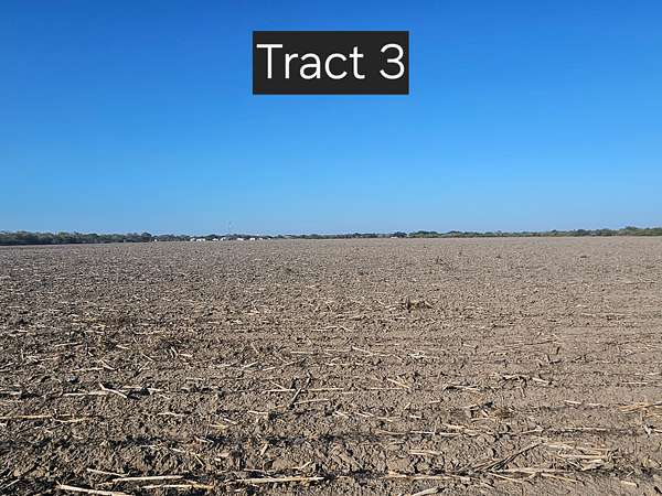 5 Acres of Land for Sale in Kingsville, Texas