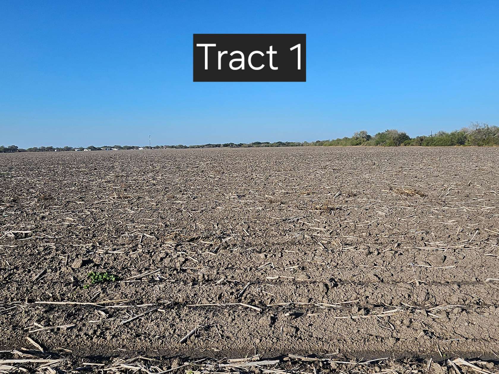 5 Acres of Land for Sale in Kingsville, Texas