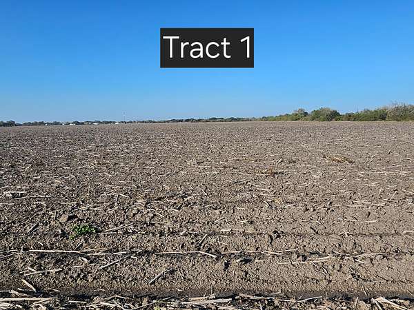 5 Acres of Land for Sale in Kingsville, Texas