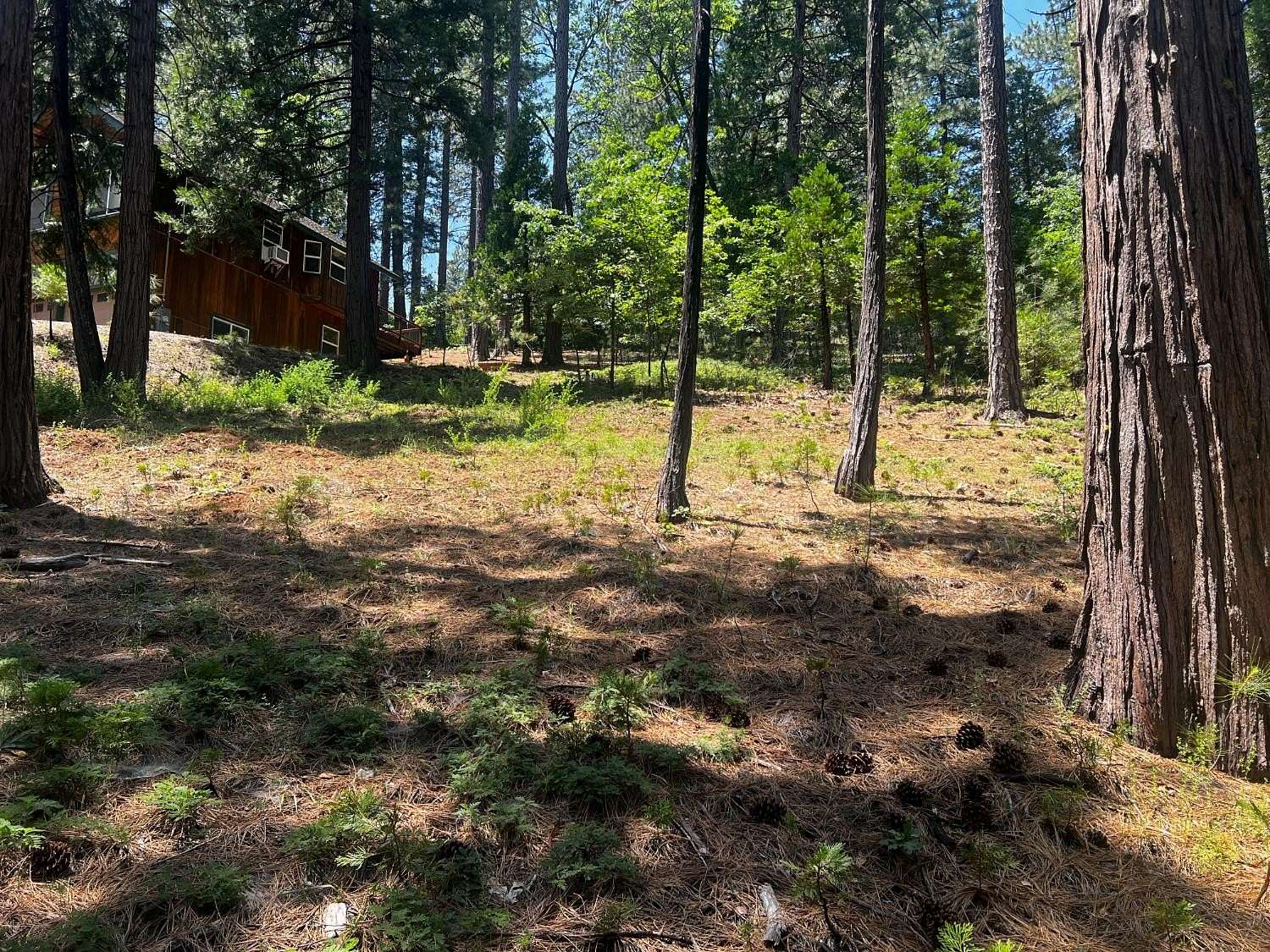 0.39 Acres of Residential Land for Sale in Arnold, California