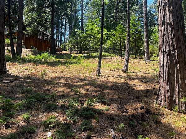 0.39 Acres of Residential Land for Sale in Arnold, California