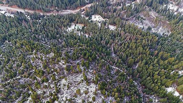 20 Acres of Recreational Land for Sale in Chewelah, Washington