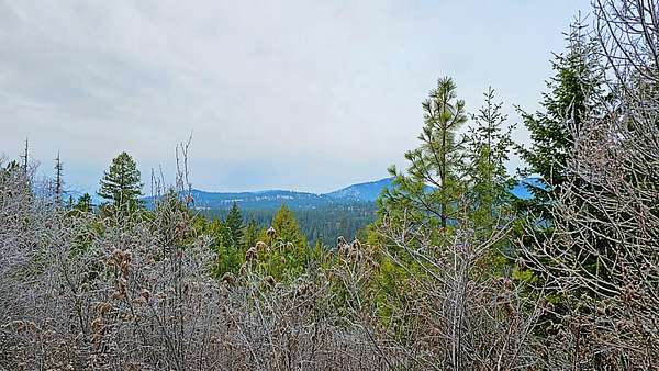 20 Acres of Recreational Land for Sale in Chewelah, Washington