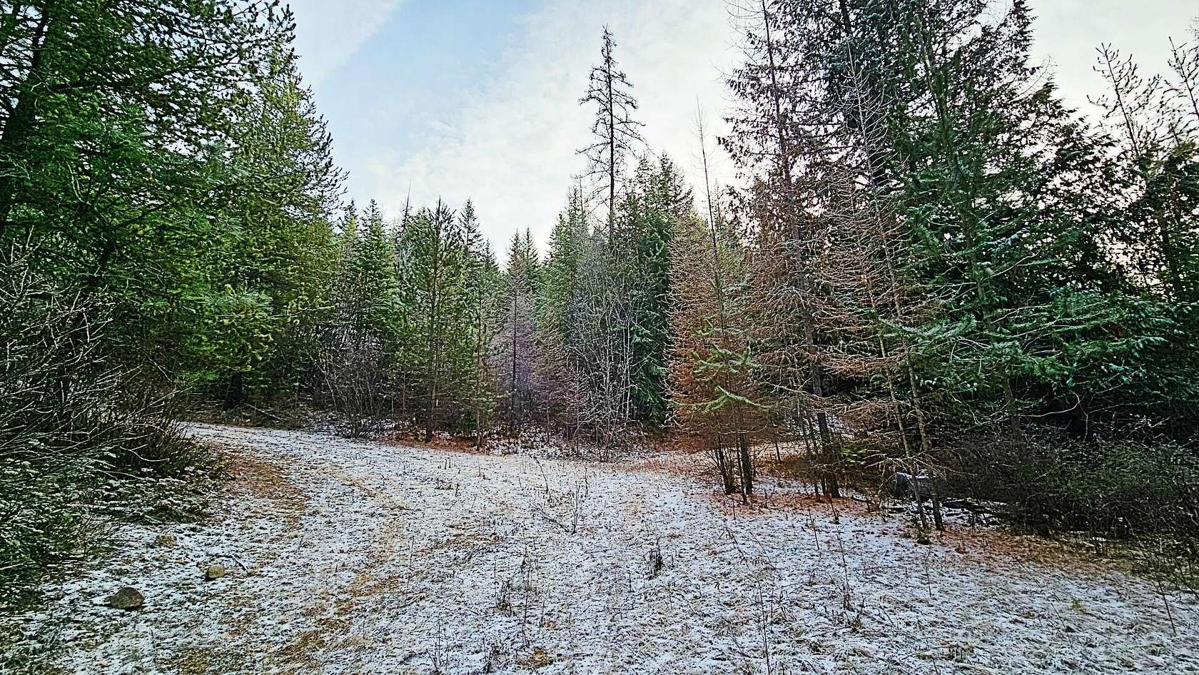 20 Acres of Recreational Land for Sale in Chewelah, Washington