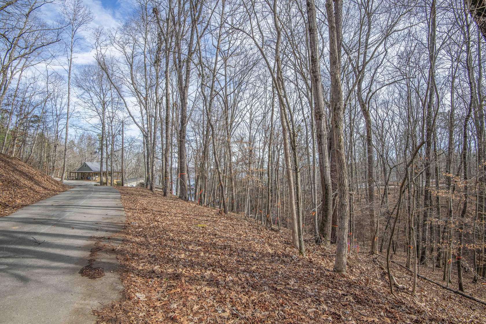 0.34 Acres of Residential Land for Sale in Spring City, Tennessee