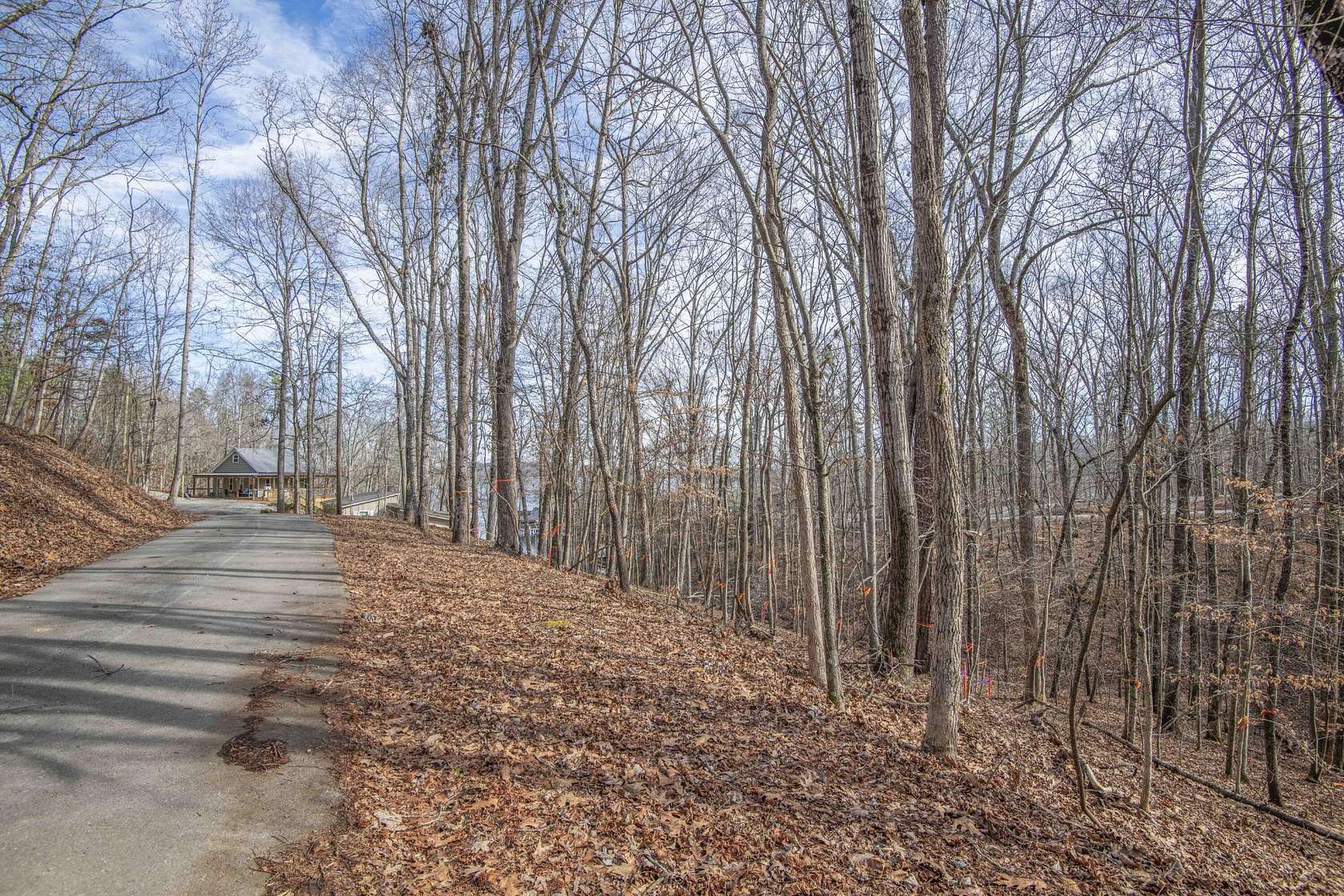 0.34 Acres of Residential Land for Sale in Spring City, Tennessee