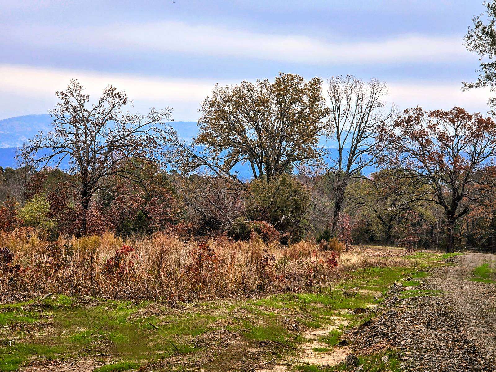 5 Acres of Land for Sale in Muse, Oklahoma