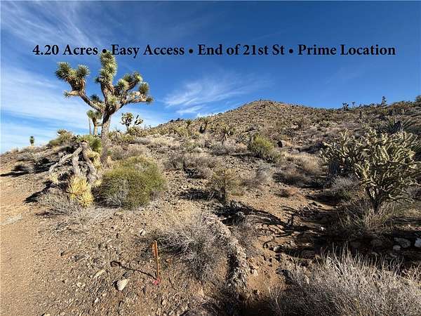 4.2 Acres of Residential Land for Sale in Dolan Springs, Arizona