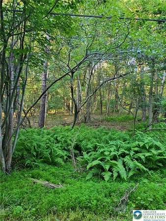 0.46 Acres of Land for Sale in Tobyhanna Township, Pennsylvania