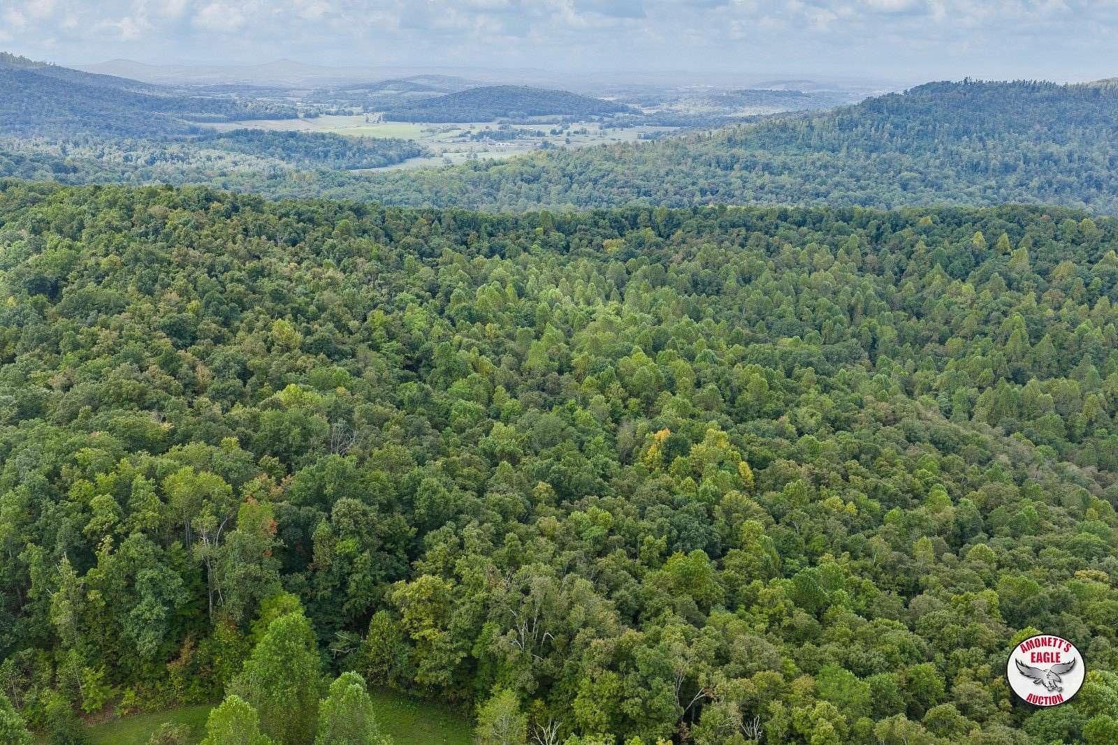 98 Acres of Land for Auction in Monticello, Kentucky