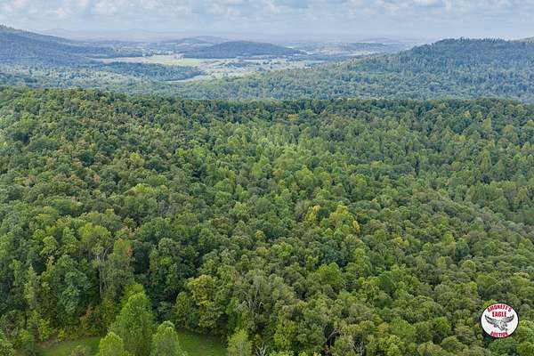 98 Acres of Land for Sale in Monticello, Kentucky