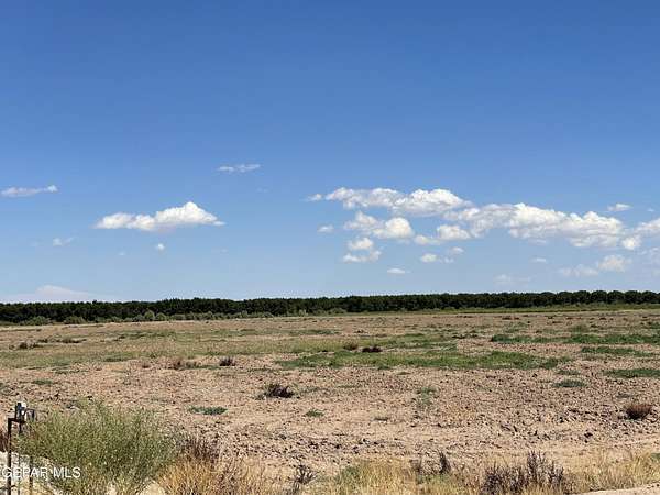 23.6 Acres of Land for Sale in Tornillo, Texas
