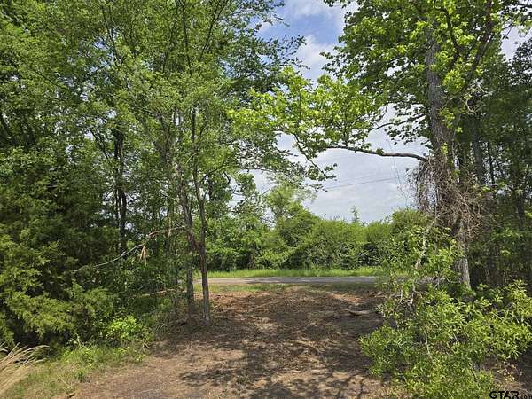 5 Acres of Land for Sale in Naples, Texas