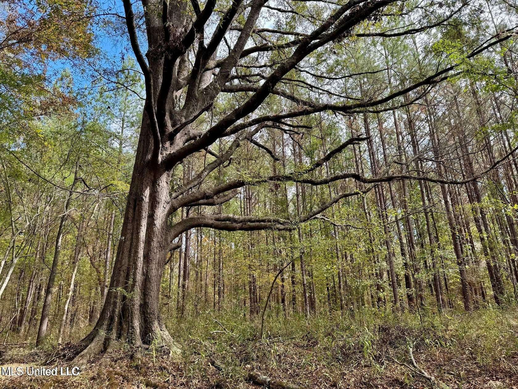 102 Acres of Recreational Land for Sale in Madison, Mississippi