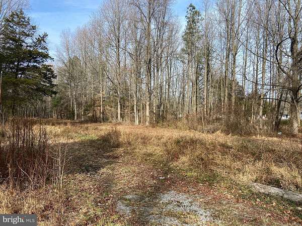 1.3 Acres of Residential Land for Sale in Marydel, Delaware