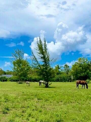 2 Acres of Commercial Land for Sale in West Palm Beach, Florida