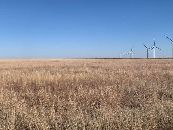 60 Acres of Land for Sale in Claude, Texas