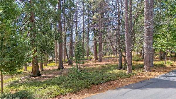 3 Acres of Residential Land for Sale in Murphys, California