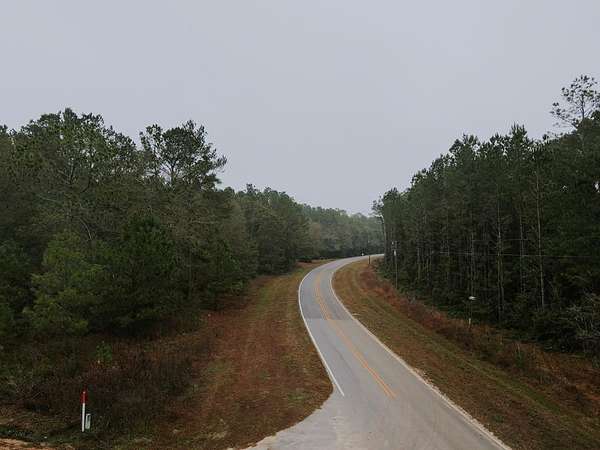 52 Acres of Land for Sale in Quitman, Georgia