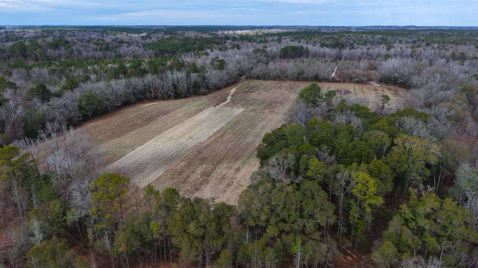92 Acres of Recreational Land for Sale in Brantley, Alabama