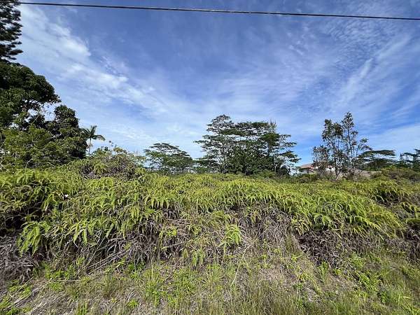 1 Acre of Land for Sale in Keaau, Hawaii