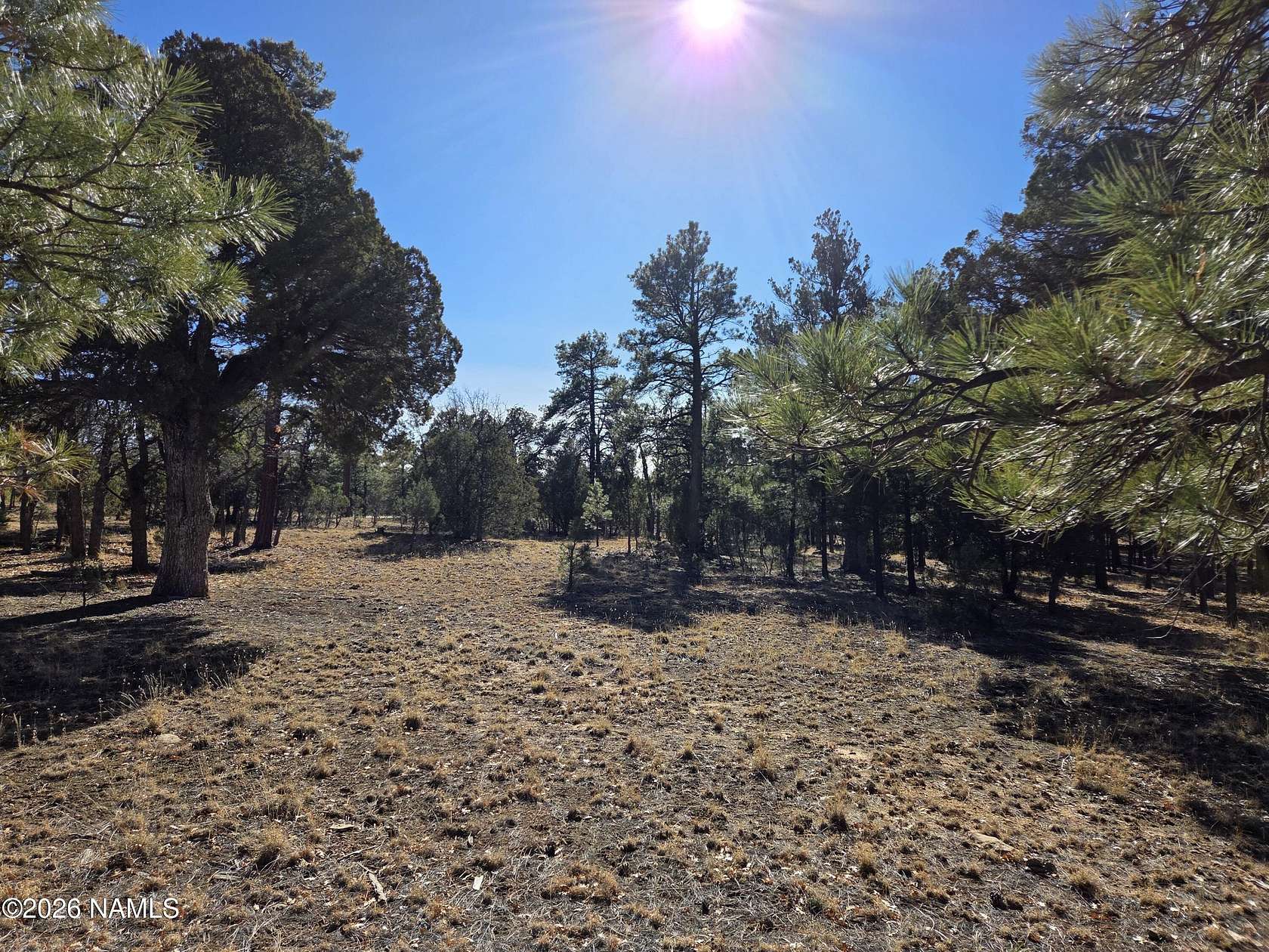1.22 Acres of Residential Land for Sale in Happy Jack, Arizona