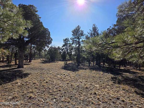 1.22 Acres of Residential Land for Sale in Happy Jack, Arizona