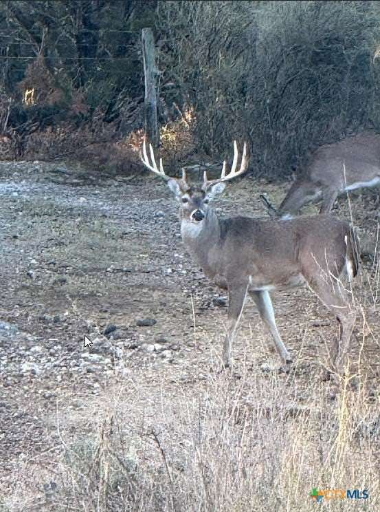 297 Acres of Improved Land for Sale in Lampasas, Texas