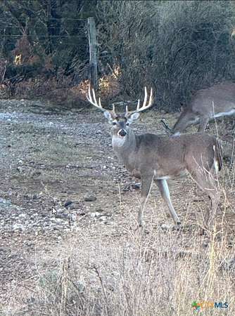 297 Acres of Improved Land for Sale in Lampasas, Texas