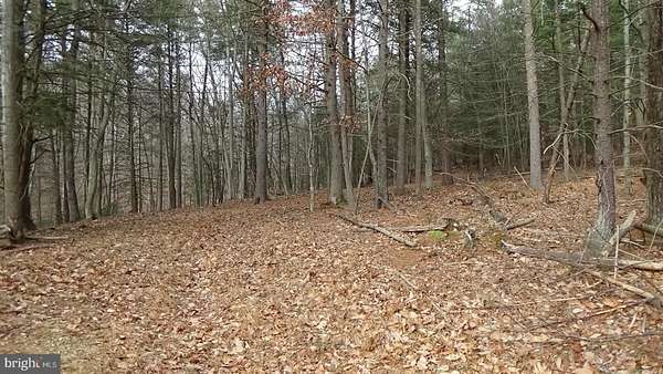 40.8 Acres of Recreational Land for Sale in Elliottsburg, Pennsylvania