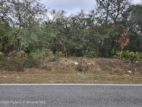 0.46 Acres of Residential Land for Sale in Brooksville, Florida