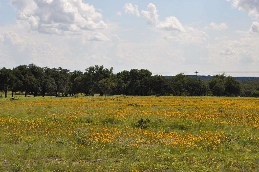 137 Acres of Agricultural & Residential Land for Sale in Harper, Texas