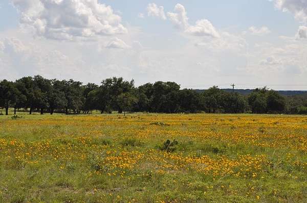 137 Acres of Agricultural & Residential Land for Sale in Harper, Texas