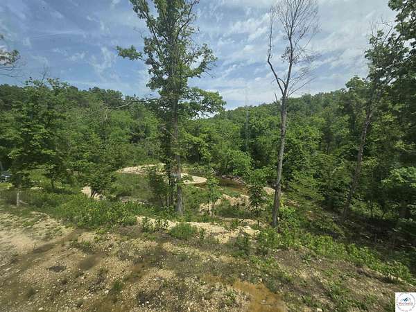 40 Acres of Recreational Land for Sale in Lebanon, Missouri