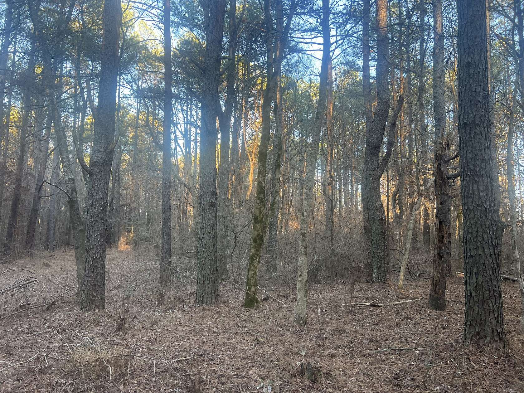 6.6 Acres of Residential Land for Sale in Cedar Grove, Tennessee