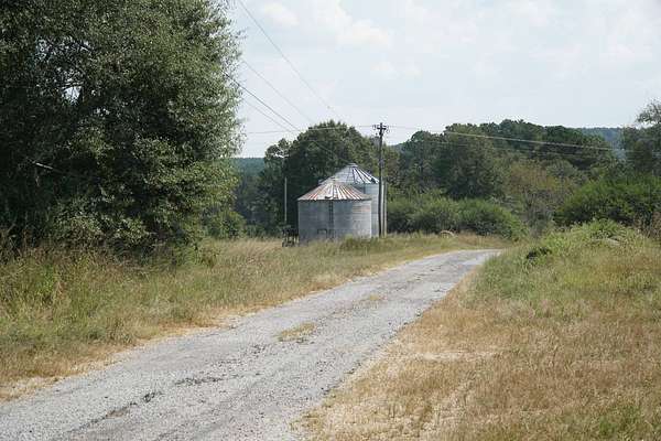 40 Acres of Land for Sale in Hamilton, Alabama