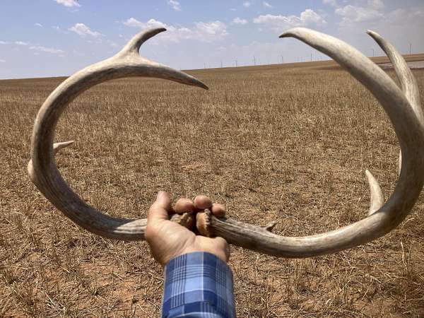 320 Acres of Recreational Land & Farm for Sale in Tahoka, Texas