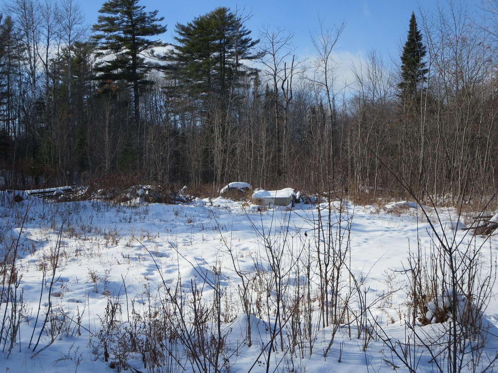 2.32 Acres of Land for Sale in Milo, Maine