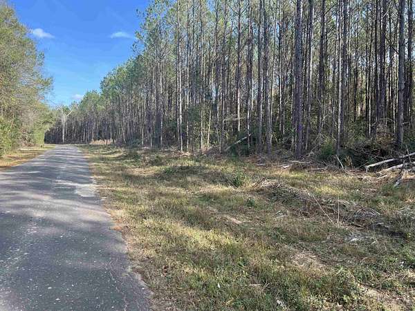 14.5 Acres of Land for Sale in Buna, Texas