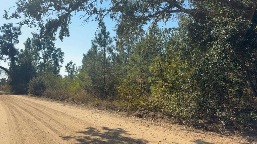 4.36 Acres of Residential Land for Sale in Lumber City, Georgia